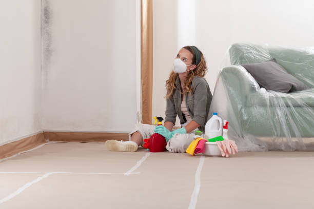 Reliable Black Mold Remediation contractor in Kingsville, TX by 24 Hour Mold Removal